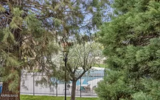 Photo #1: 260005642 Listing 