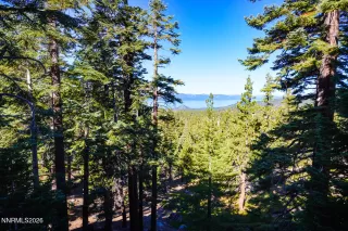 Photo #1: 260006075 Listing 