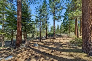 Photo #3: 260006138 Listing 