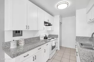 Photo #5: 260006516 Listing 