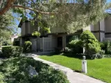 Primary Photo for MLS#: 260006580