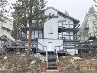 Photo #1: 260006781 Listing