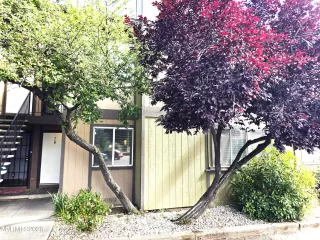 More Details about MLS # 260007069 : 2345 TRIPP DRIVE 7#7