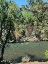 Primary Photo for MLS#: 260007703