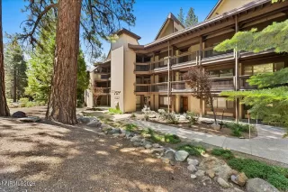 Photo #1: 260007836 Listing 