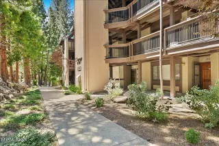 Photo #2: 260007836 Listing 