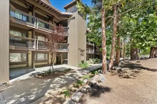 Photo #3: 260007836 Listing 