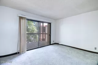 Photo #1: 260008159 Listing 