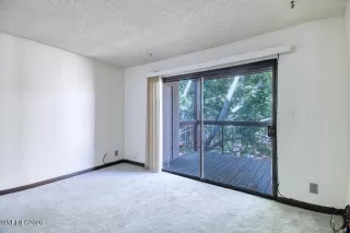 Photo #2: 260008159 Listing 