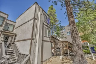 Photo #3: 260008227 Listing 