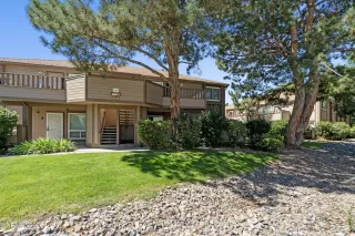 Photo #2: 260008252 Listing 