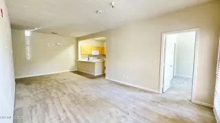 Photo #1: 260008383 Listing 
