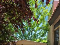 Browse active condo listings in Sparks